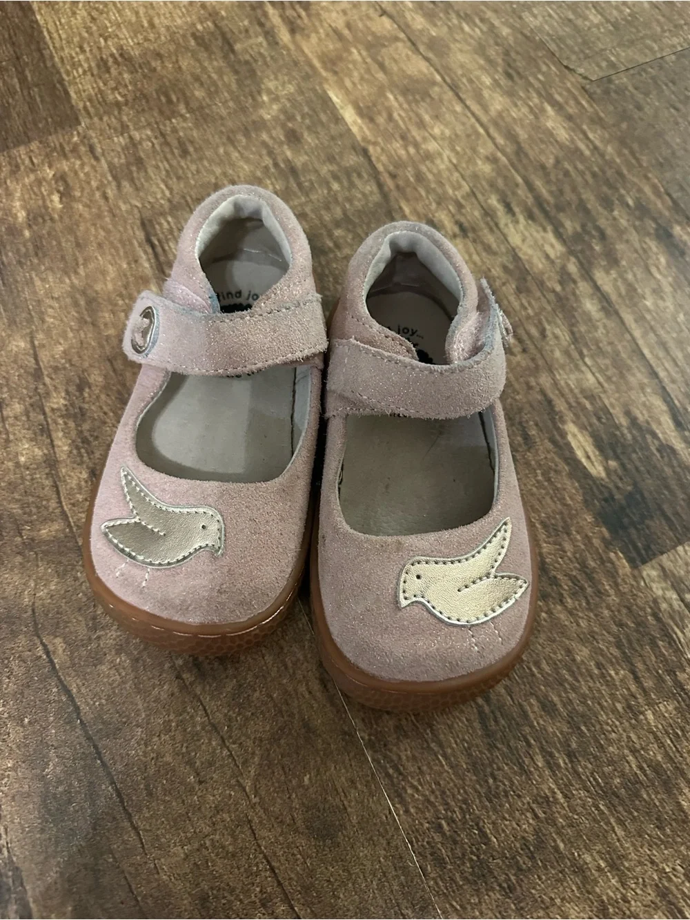 Livie & Luca Dusty Pink Suede Mary Janes with Gold Bird